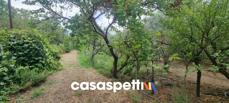 immagine annuncio 3 di 9