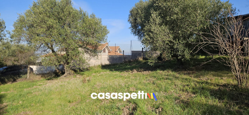 immagine annuncio 2 di 9