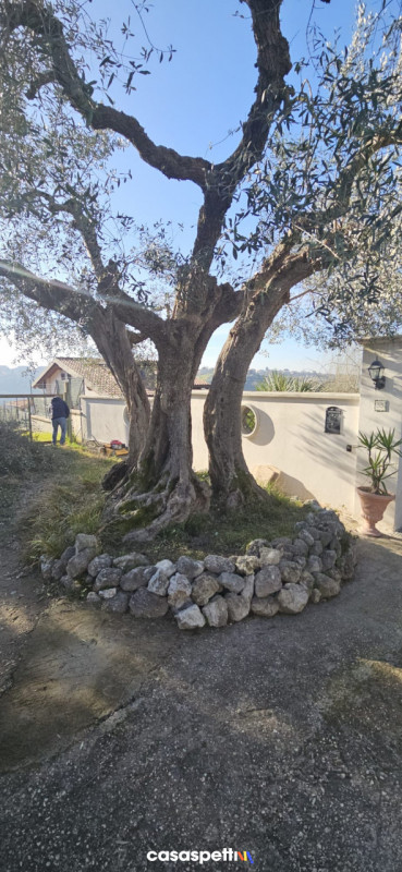 immagine annuncio 4 di 9