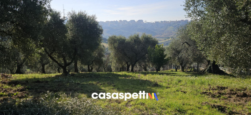 immagine annuncio 5 di 9