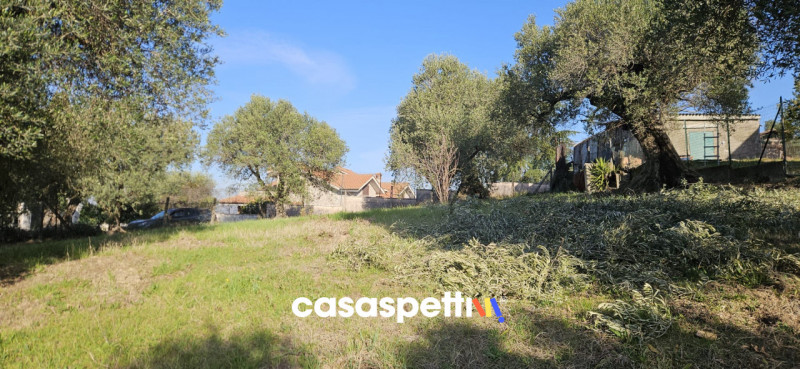 immagine annuncio 3 di 9