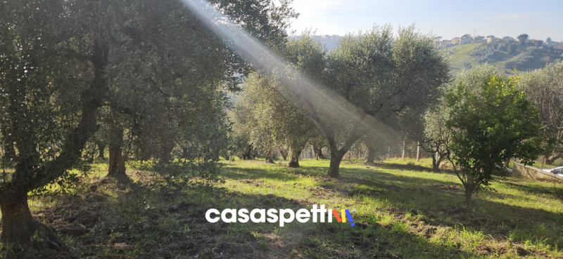 immagine annuncio 8 di 9