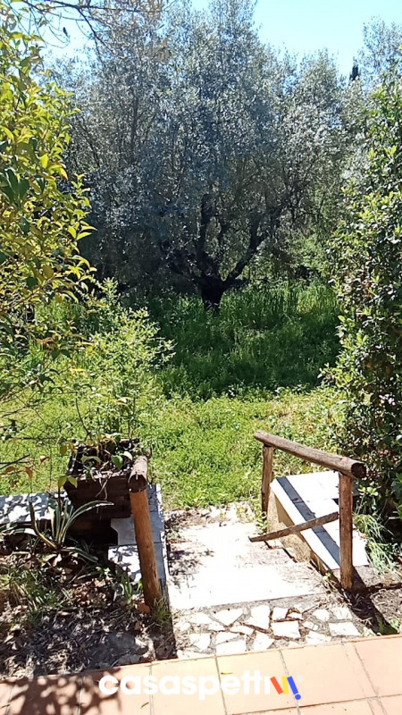immagine annuncio 3 di 10