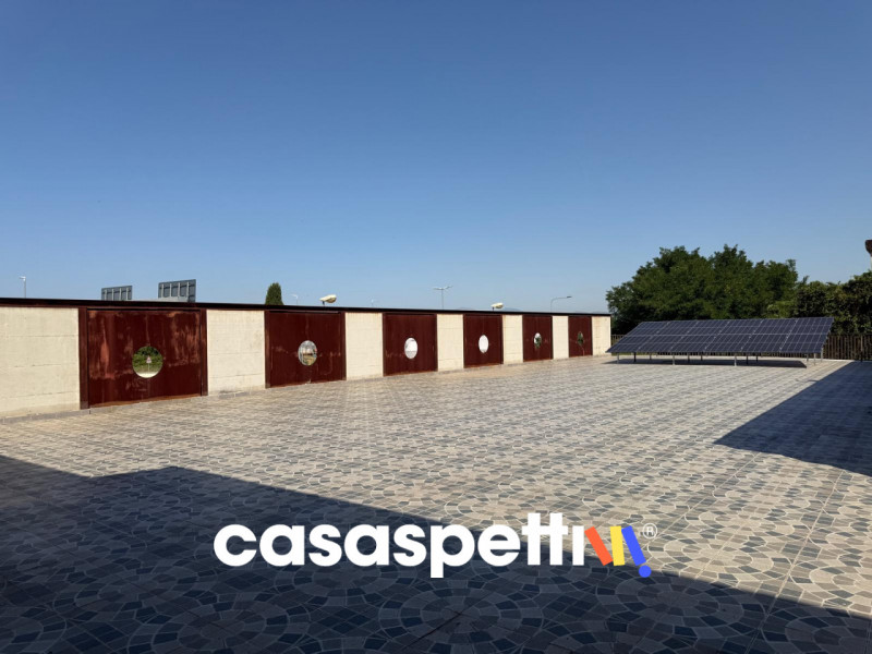 immagine annuncio 6 di 8