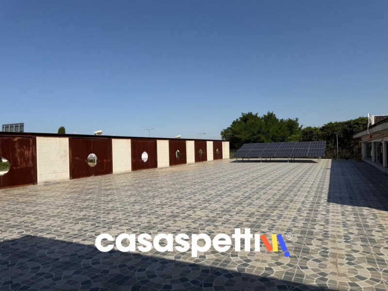 immagine annuncio 4 di 8