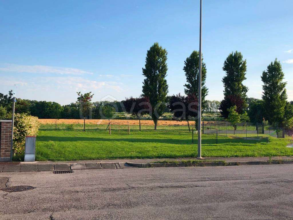 immagine annuncio 2 di 4