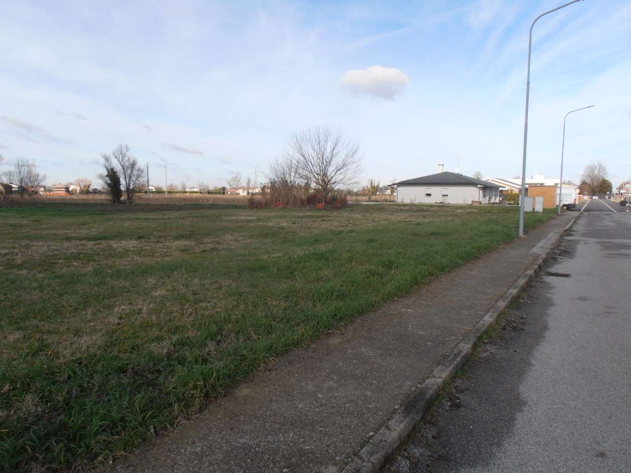 immagine annuncio 5 di 6