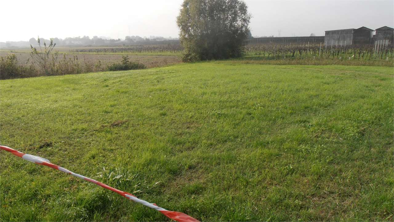 immagine annuncio 4 di 6