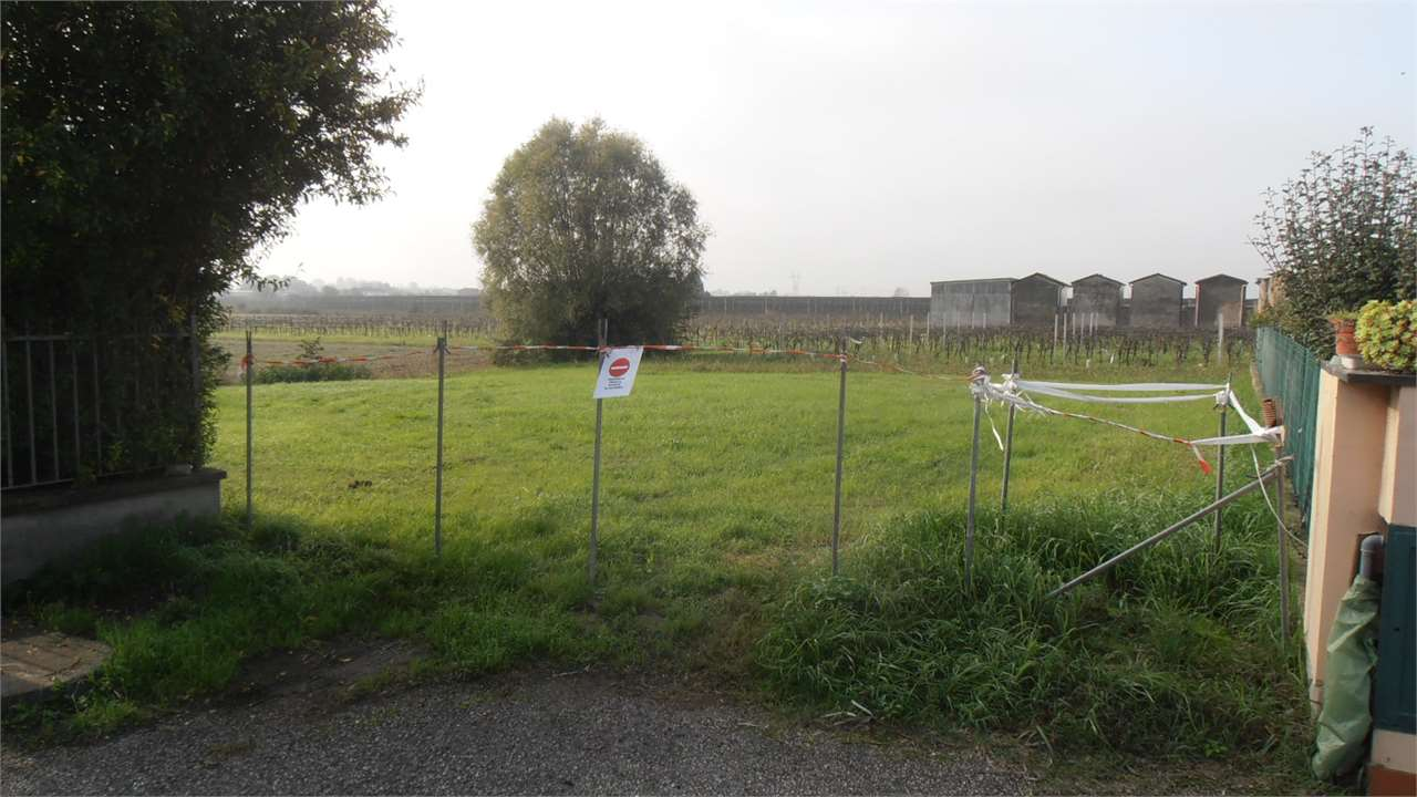 immagine annuncio 5 di 6