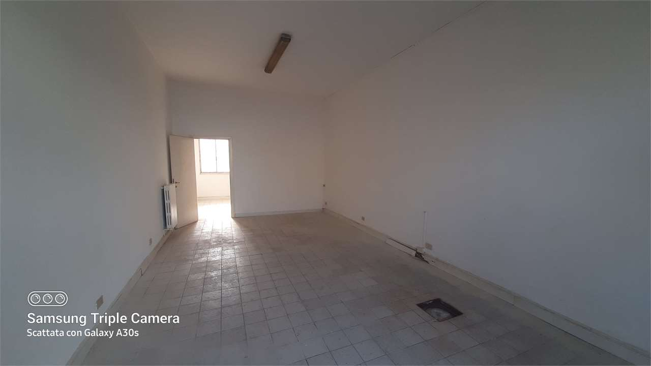 immagine annuncio 2 di 6