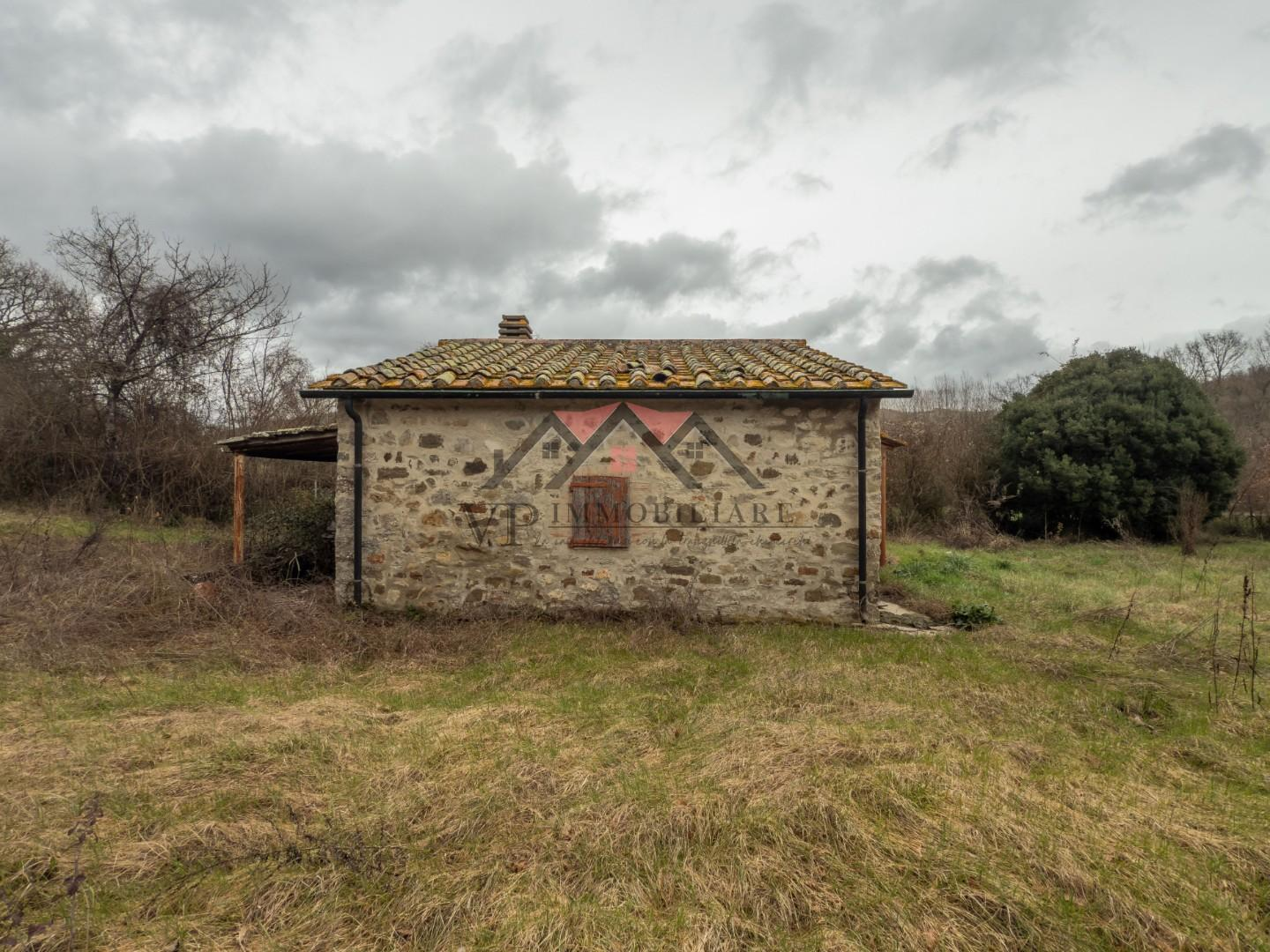 immagine annuncio 2 di 7