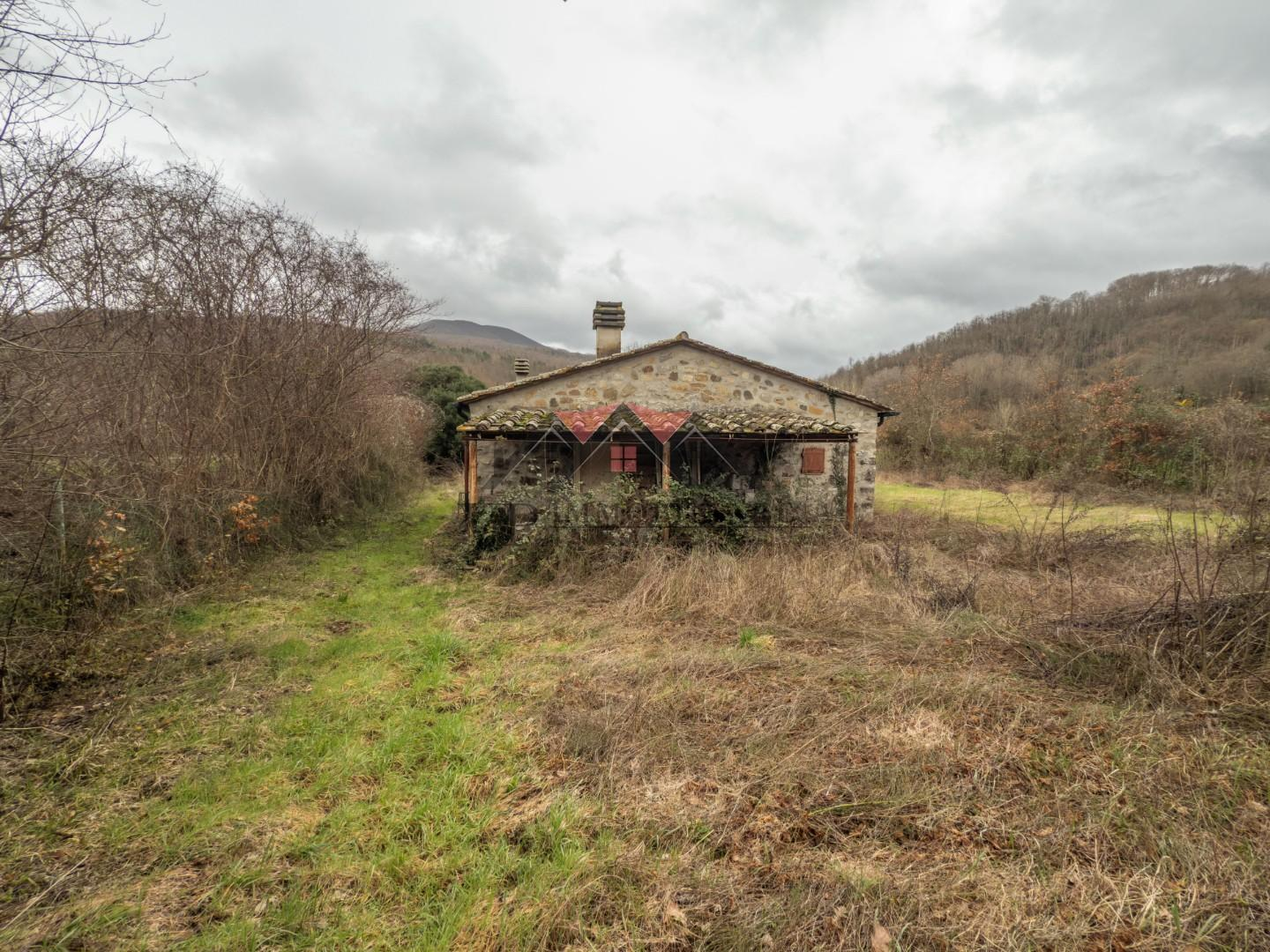 immagine annuncio 6 di 7