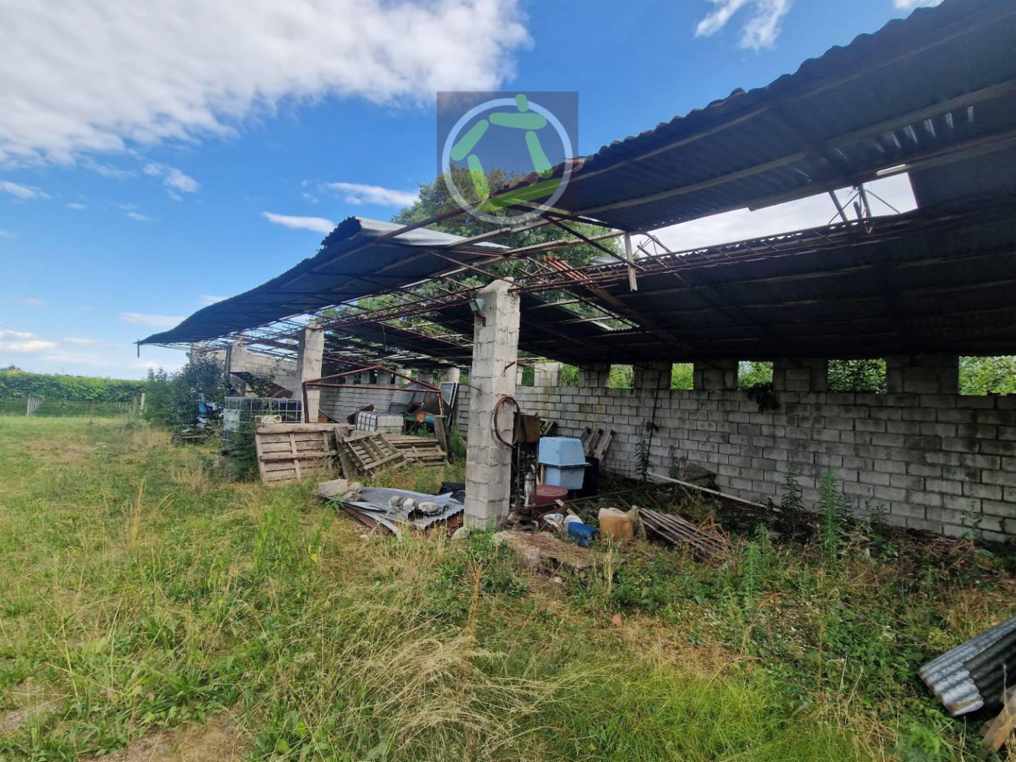 immagine annuncio 6 di 10