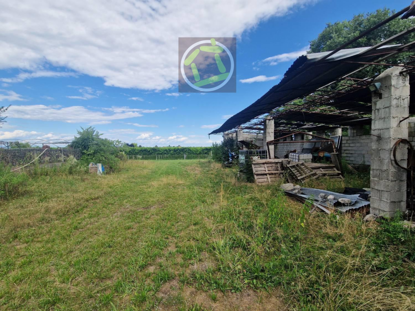 immagine annuncio 3 di 10