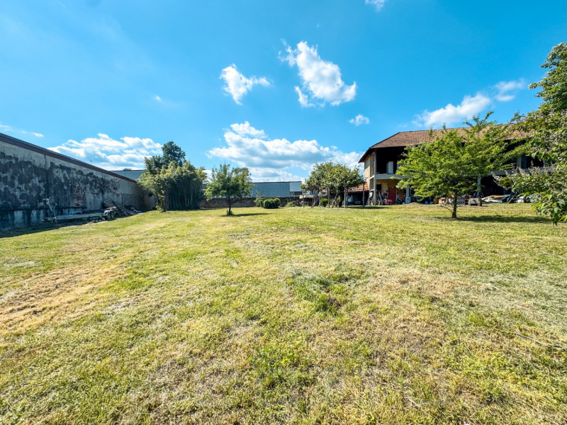 immagine annuncio 1 di 10