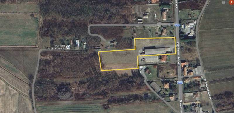 immagine annuncio 3 di 5