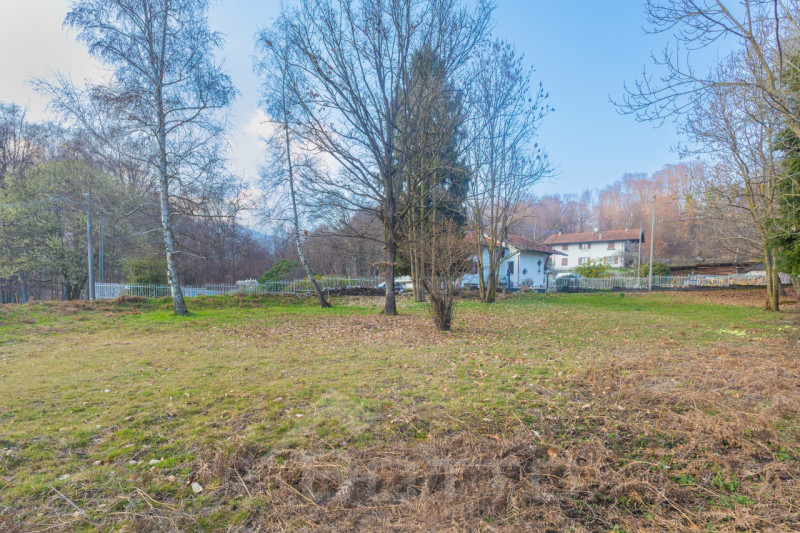 immagine annuncio 5 di 8