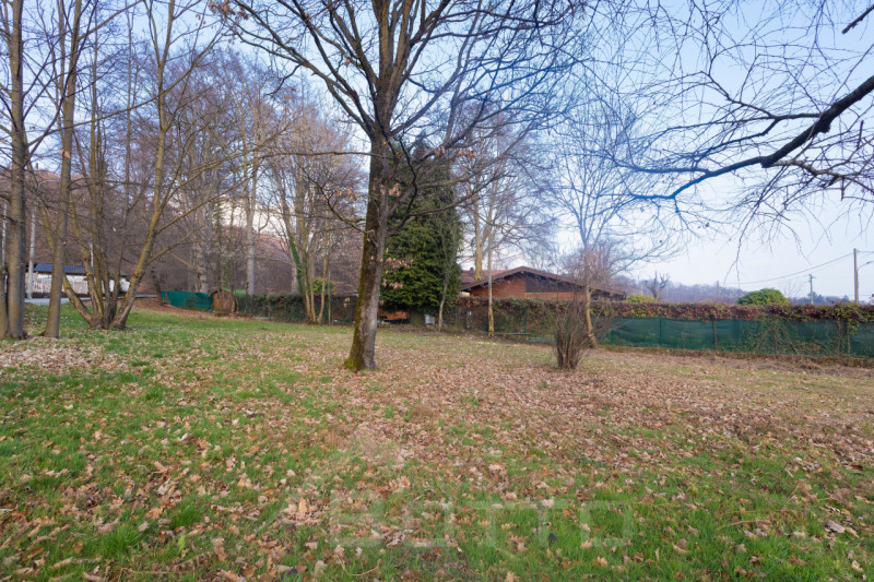 immagine annuncio 6 di 8