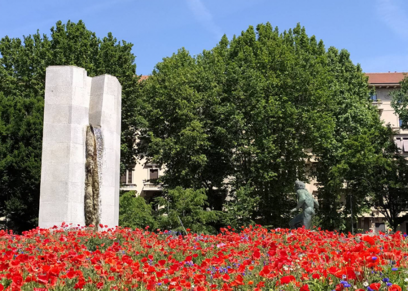 immagine annuncio 5 di 10