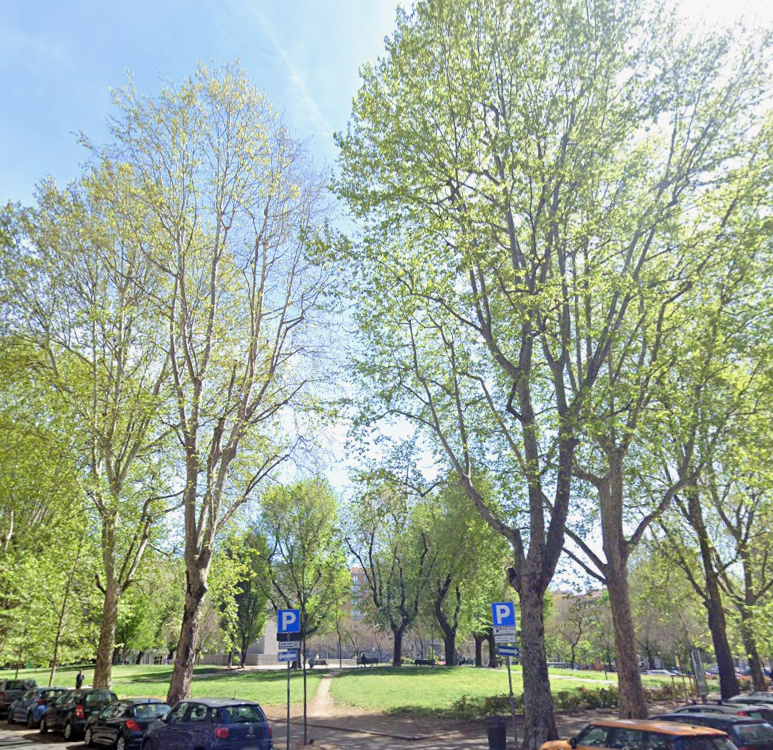 immagine annuncio 4 di 10