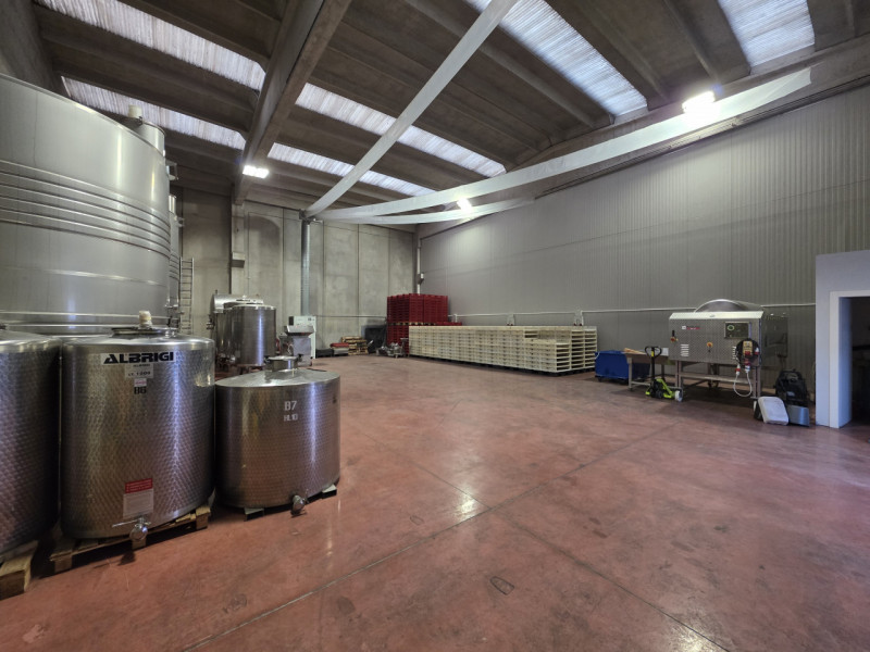 immagine annuncio 1 di 7