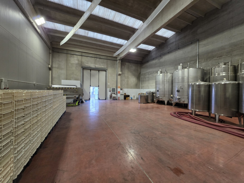 immagine annuncio 3 di 7