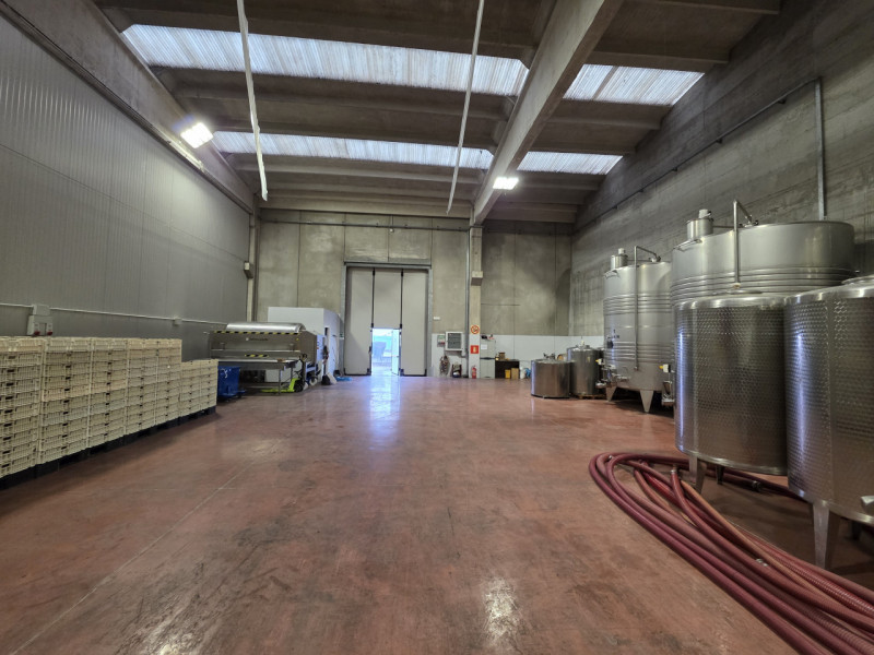 immagine annuncio 4 di 7