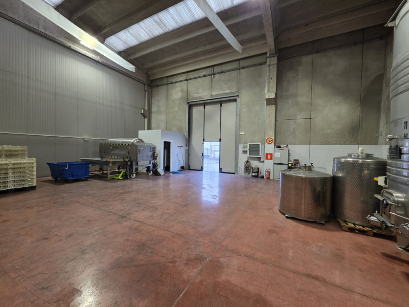 immagine annuncio 6 di 7