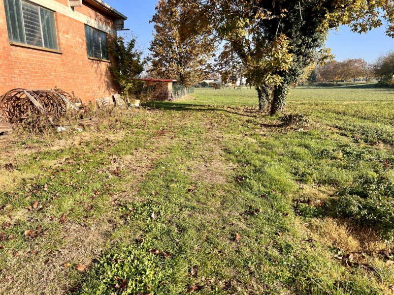 immagine annuncio 2 di 9