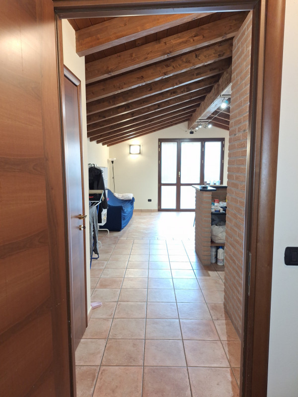 immagine annuncio 4 di 7