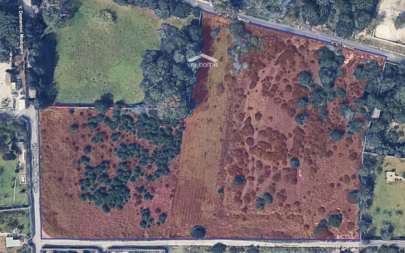 immagine annuncio 2 di 10