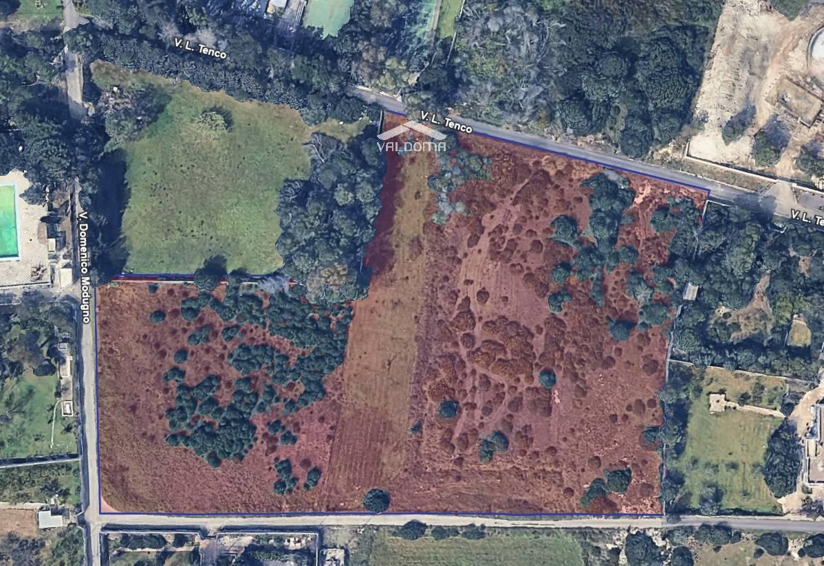 immagine annuncio 3 di 10