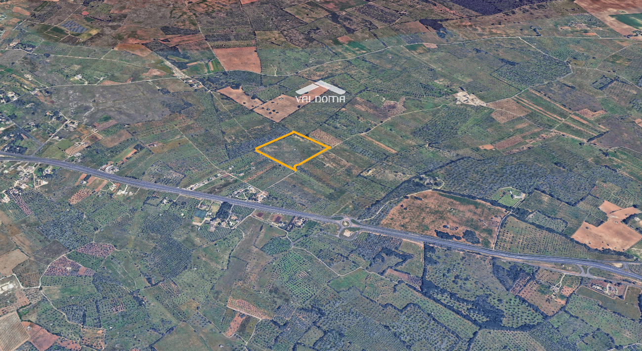 immagine annuncio 1 di 7