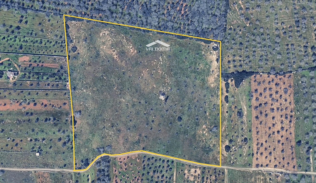 immagine annuncio 3 di 7