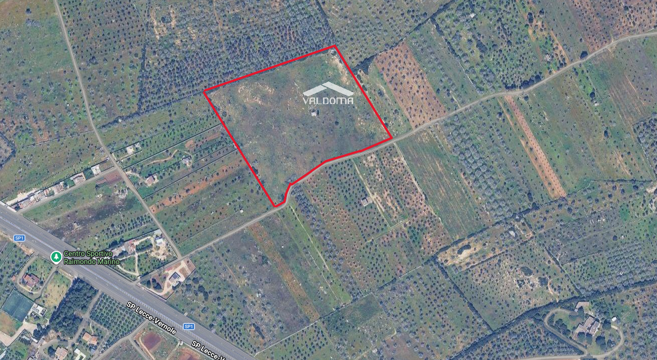 immagine annuncio 2 di 7