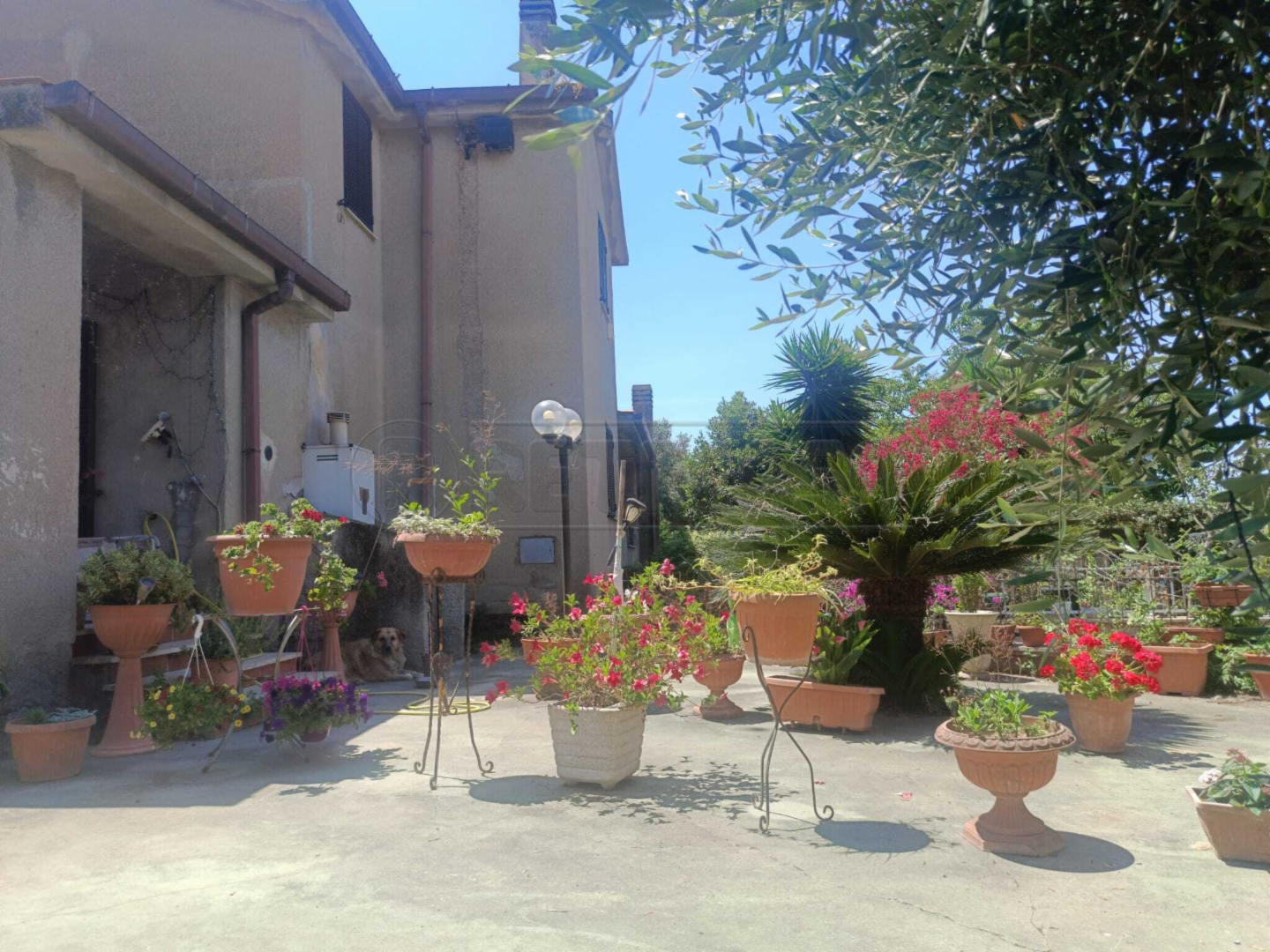 immagine annuncio 4 di 10