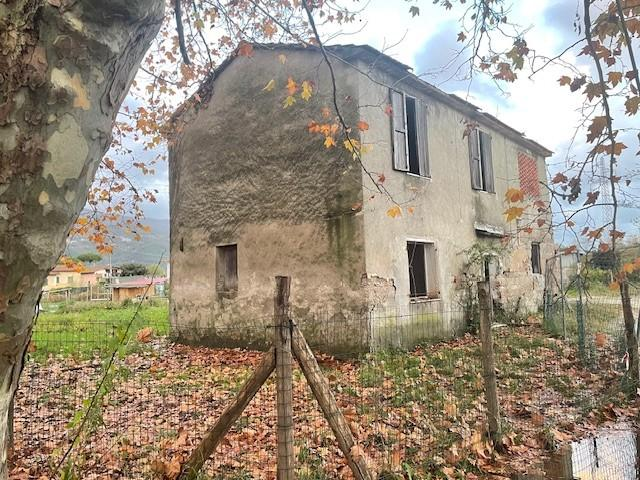 immagine annuncio 4 di 8