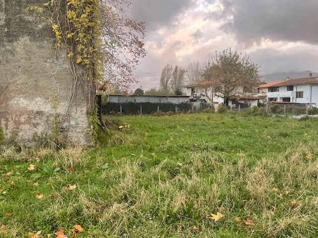 immagine annuncio 6 di 8