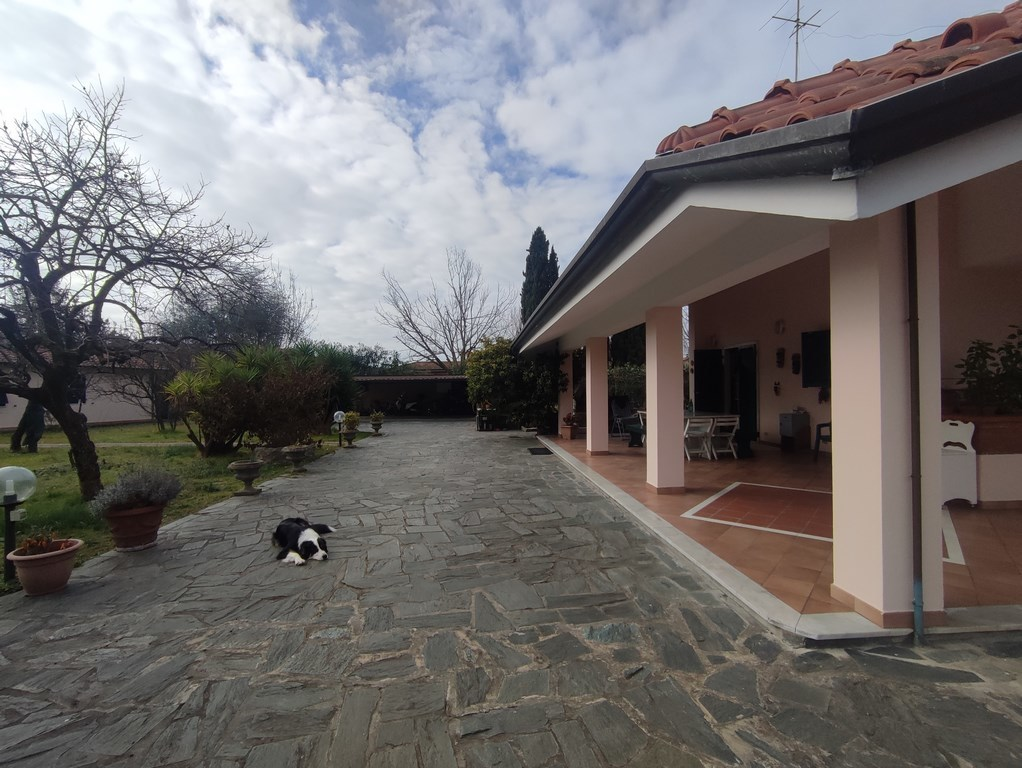 immagine annuncio 1 di 9