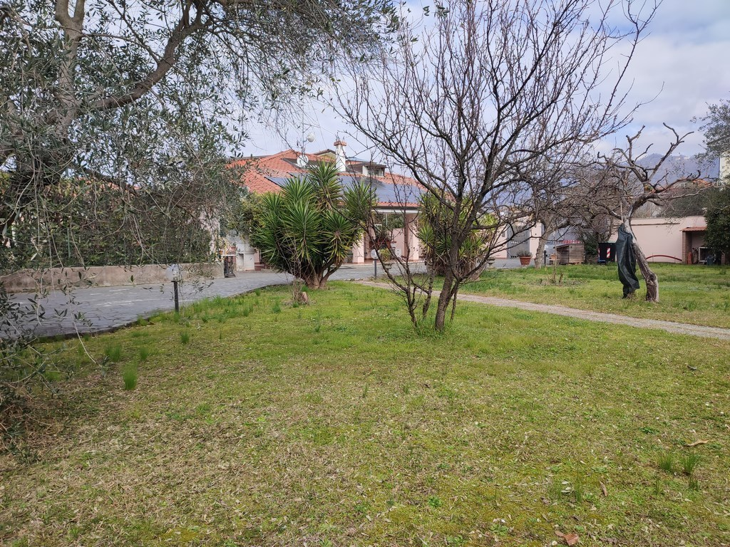 immagine annuncio 2 di 9