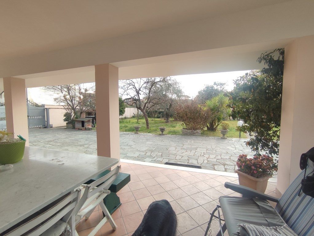 immagine annuncio 4 di 9