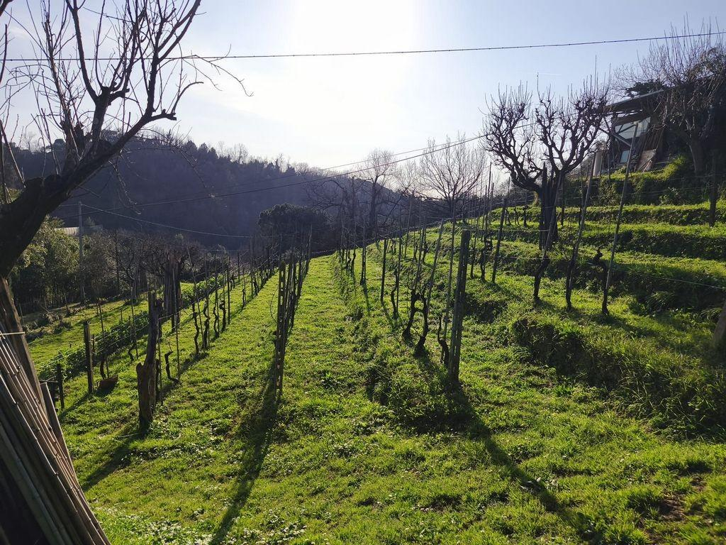 casa indipendente in vendita a Carrara