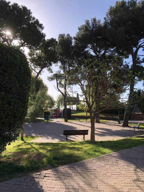 immagine annuncio 5 di 6