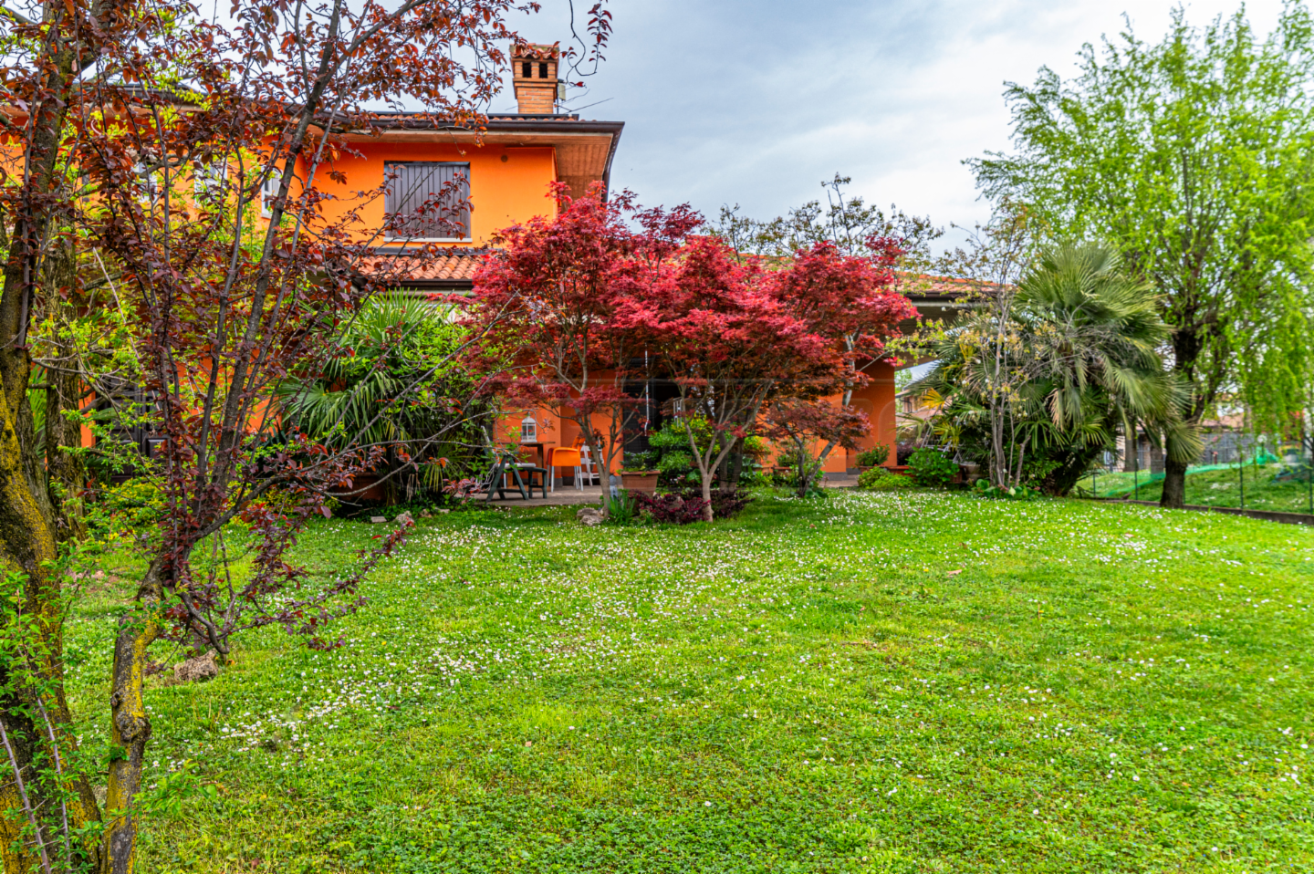 immagine annuncio 2 di 10