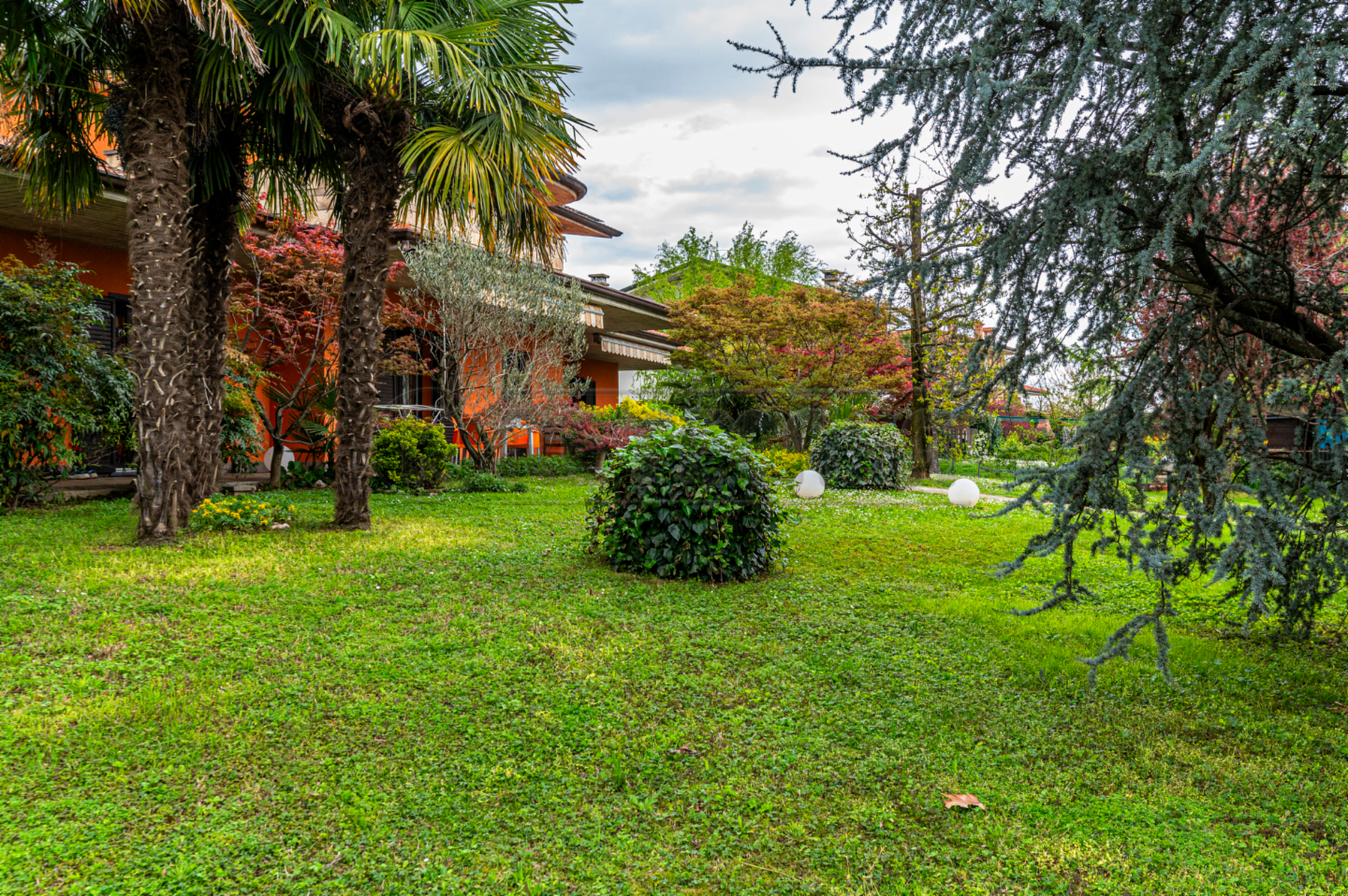 immagine annuncio 5 di 10