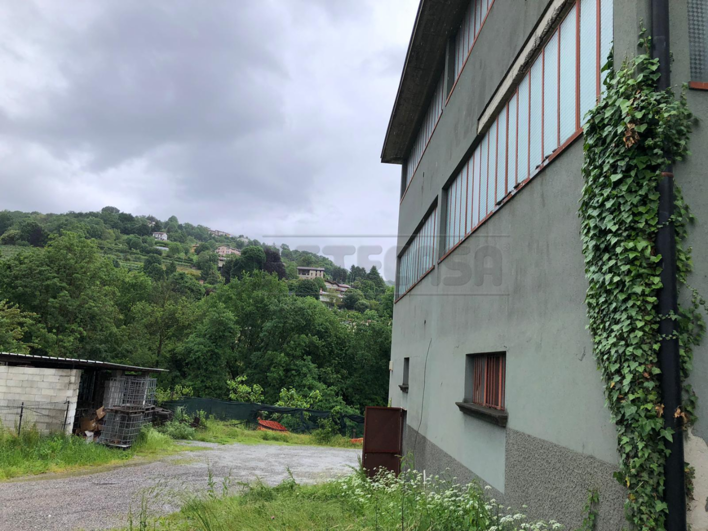 immagine annuncio 3 di 6