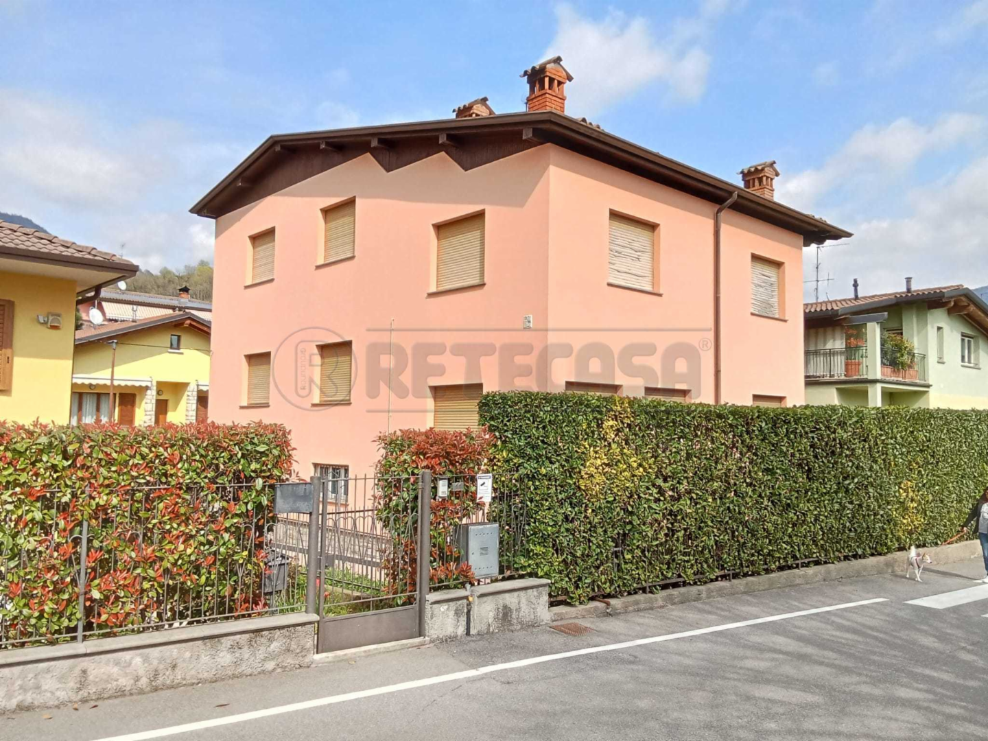 immagine annuncio 1 di 10