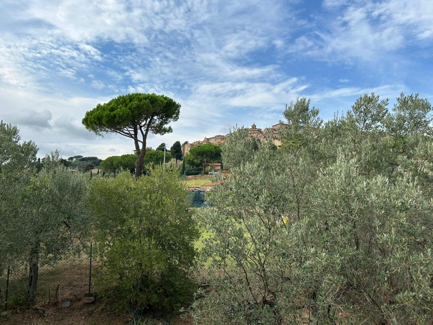 immagine annuncio 0 di 10