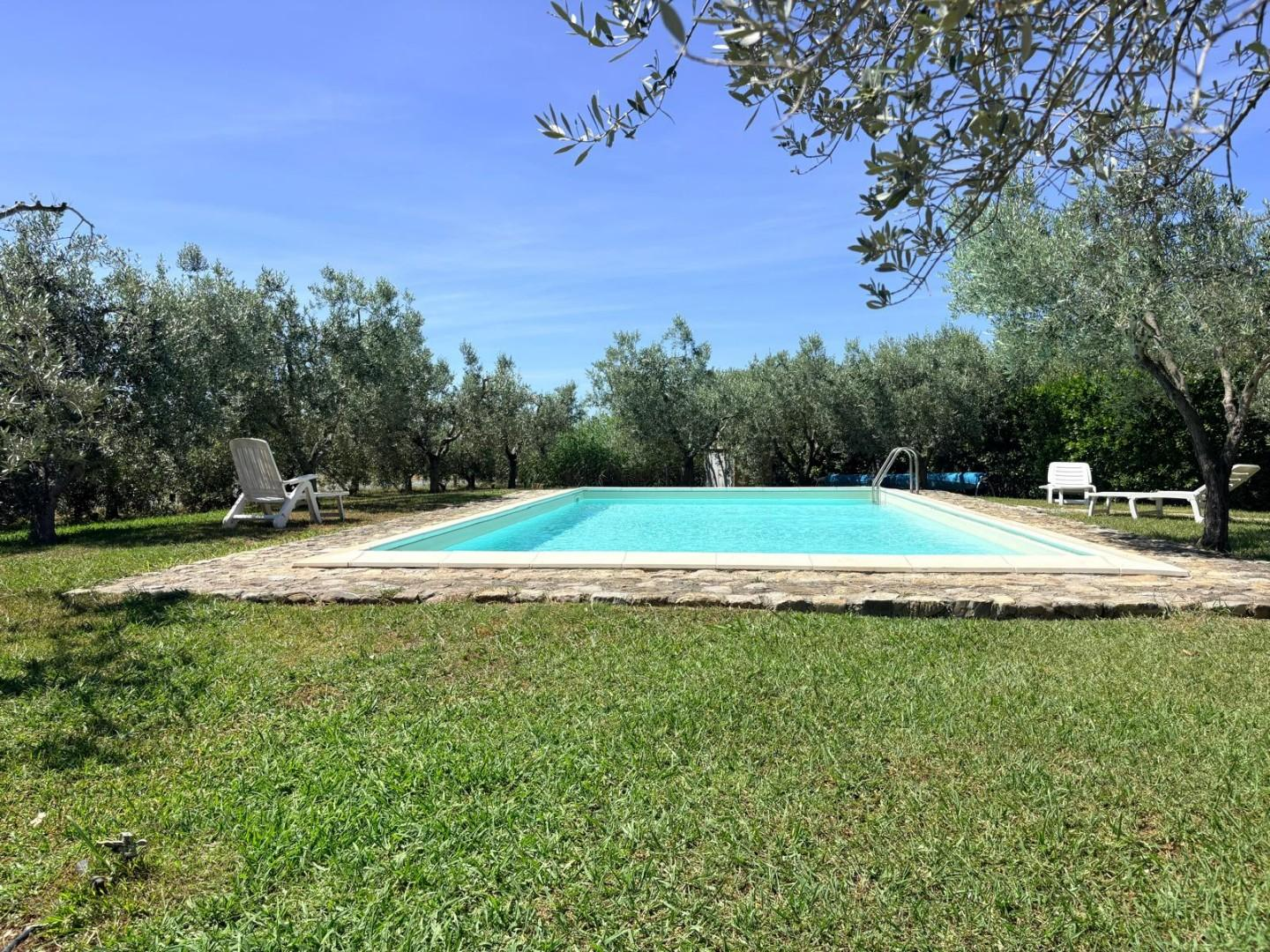 immagine annuncio 6 di 10