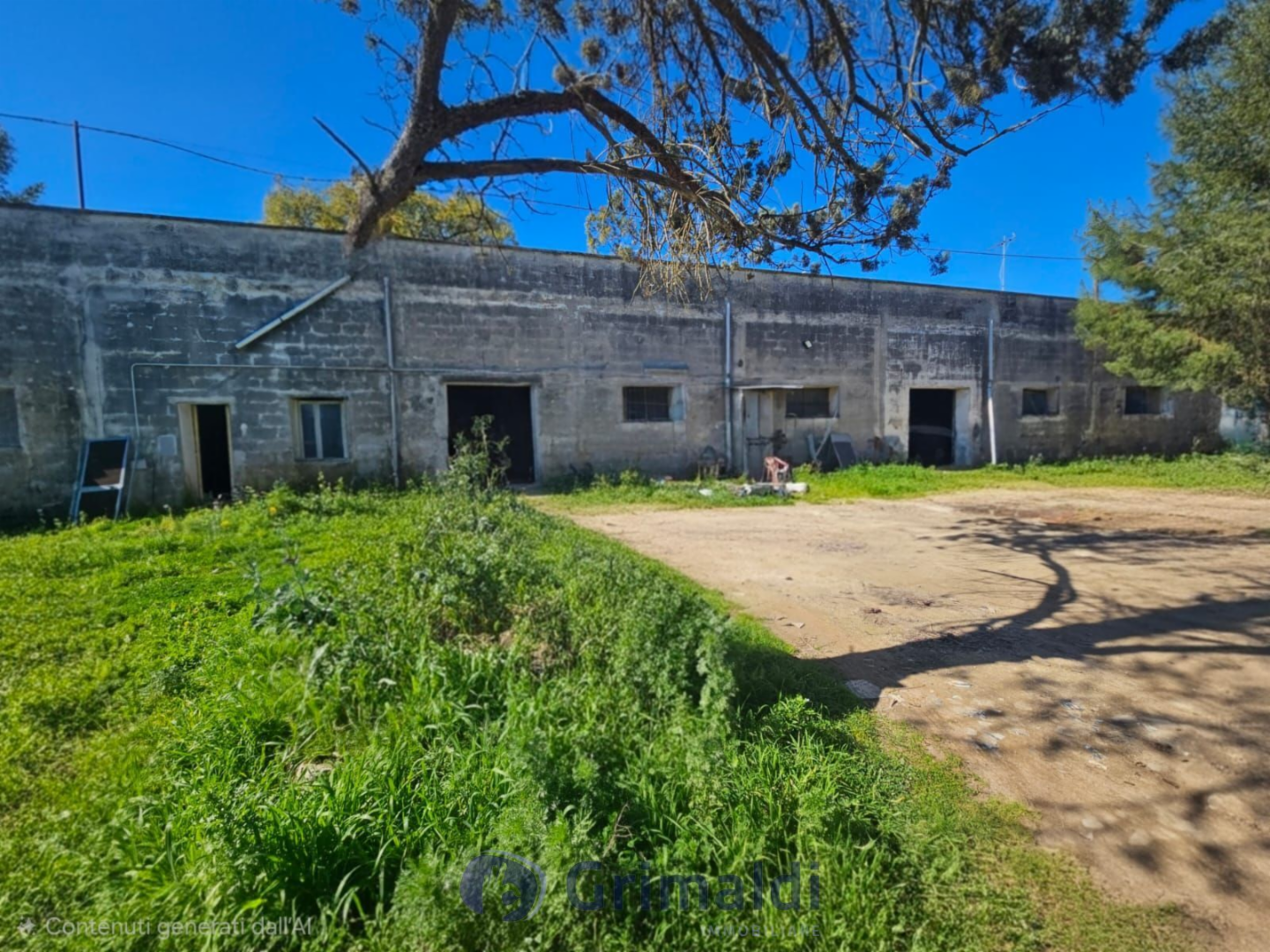 immagine annuncio 1 di 10